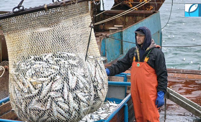Отмена экспортных пошлин на некоторые виды морепродуктов