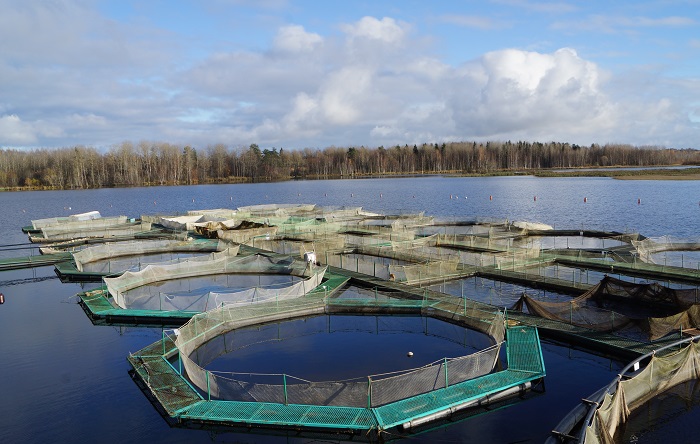 Аквафермеров приглашают обсудить выращивание рыбы в садках
