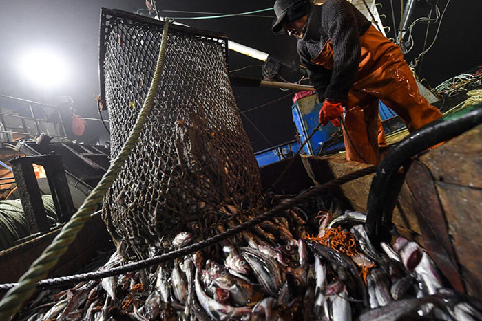 Для промышленного рыболовства утвержден порядок выдачи электронных разрешений