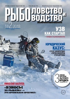 Зима 2018