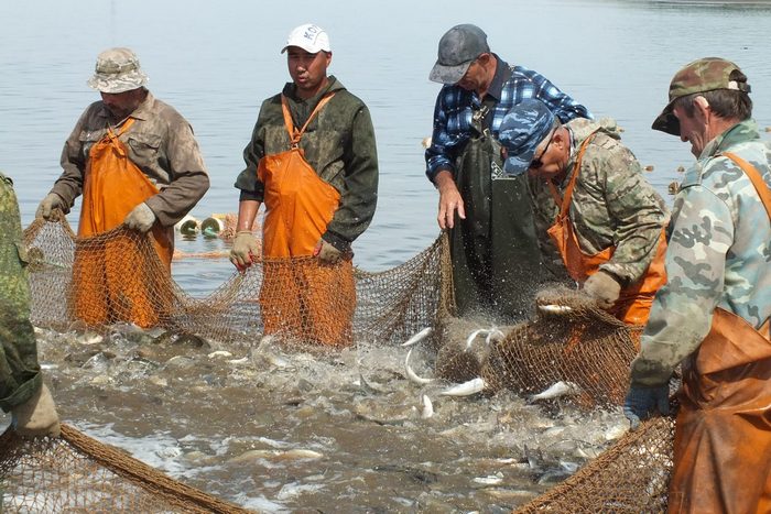 В Астраханской области отменен запрет на вылов рыбы в апреле 2022