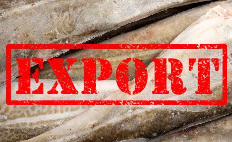 В России введены экспортные пошлины на рыбу и моллюсков