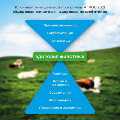 В Москве пройдет Международная выставка технологий для животноводства и кормопроизводства Agros Expo