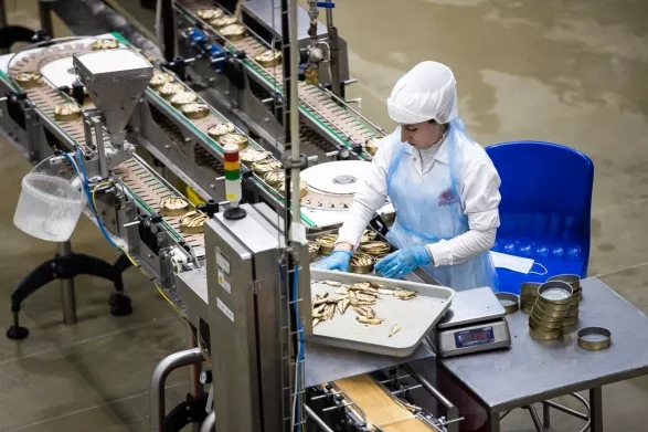 Шпроты с янтарём: в Калининграде будут выпускать новый продукт