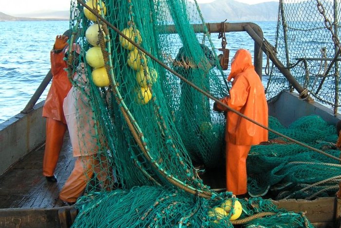 Контроль за иностранными инвестициями в промышленном рыболовстве будет усилен