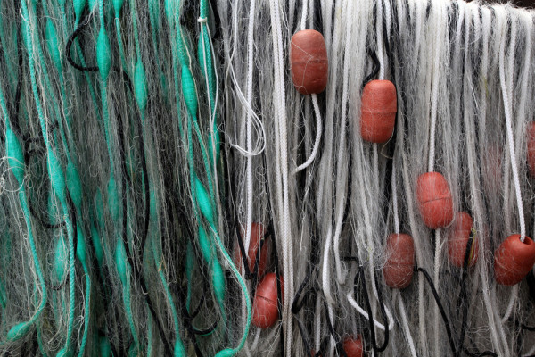 Свет и цвет: как окраска влияет на уловистость рыболовной сети 