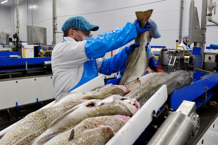 ﻿Полноценный экспорт российской рыбы в Китай не планируется до конца 2022 года