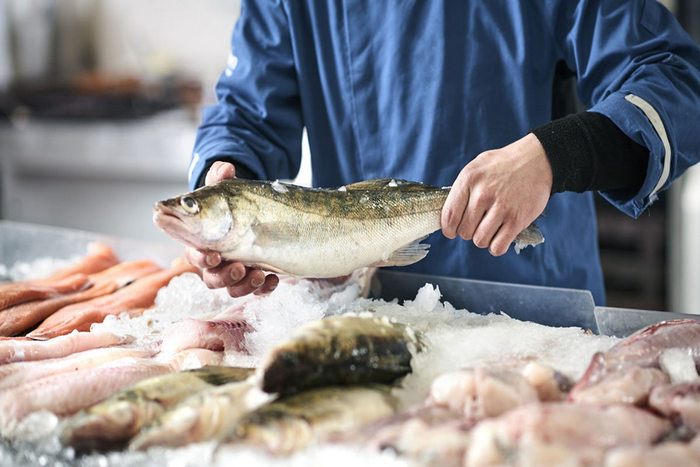 Росрыболовство предложило регулировать цены на рыбу