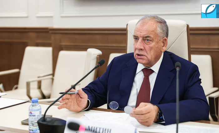 Сенаторы видят потенциал роста потребления рыбы в развитии логистики и аквакультуры