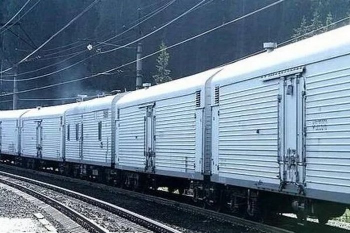 Перевозка рыбной продукции с Дальнего Востока увеличилась на 35% 