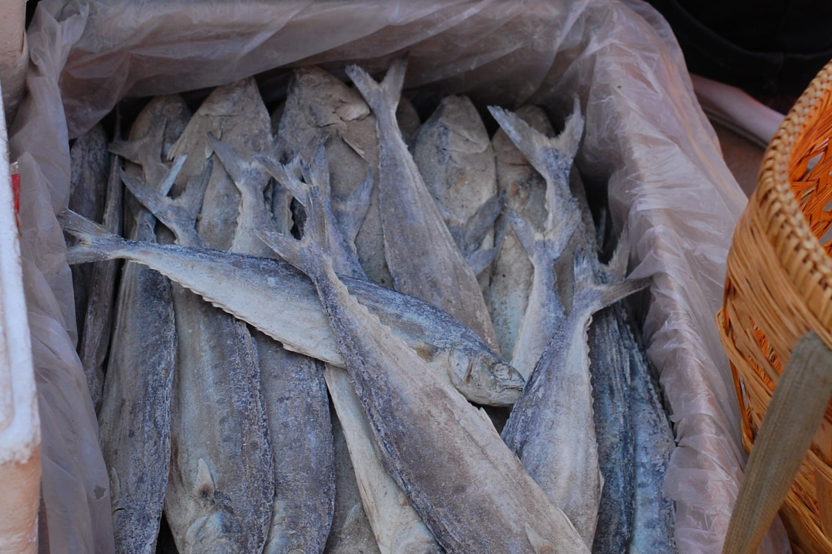 В России предлагают ограничить торговые наценки на мороженую рыбу