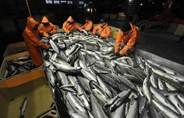 Как изменился рыбный экспорт в 2021 году?