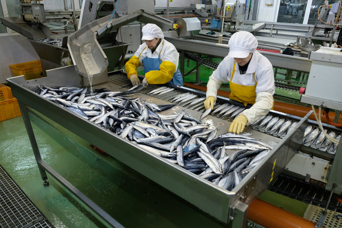 ﻿Бизнес приглашают к обсуждению маркировки рыбной продукции 