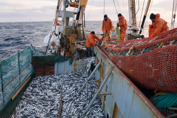 Рыбодобывающим компаниям утвердили компенсацию топливных затрат на 2022 год