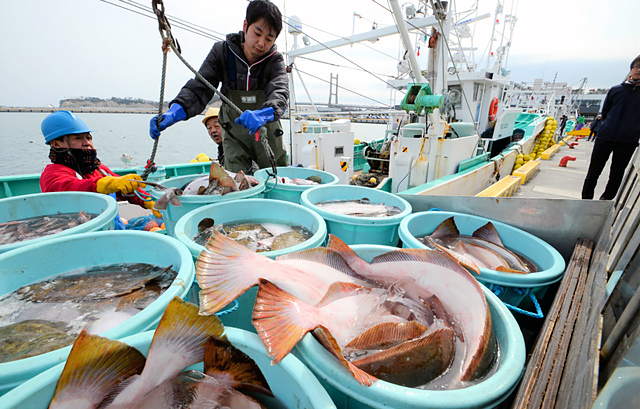 поставки морепродуктов из китая.jpg