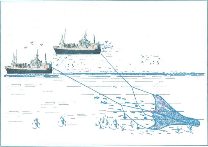 Рисунок13.png Рисунок13.png