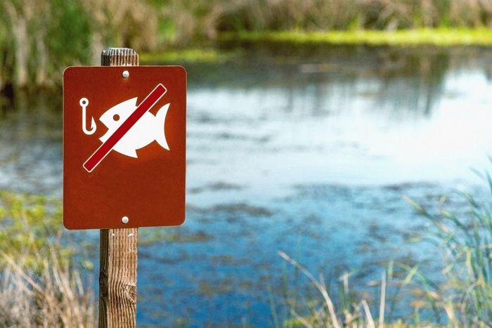В Дмитровском округе установлены временные ограничения на рыболовство