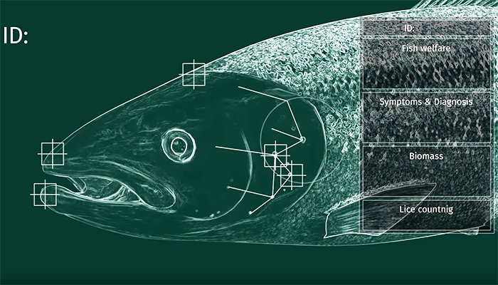 Screenshot_2019-12-24 (75) iFarm - Individualized aquaculture - YouTube(1).png
