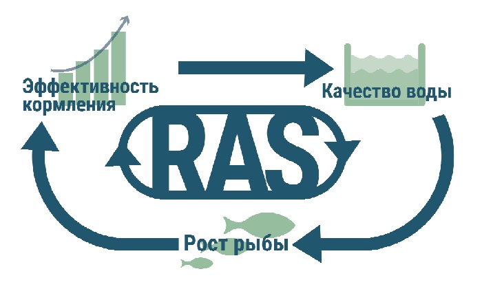 корм-для-узв-2.jpg