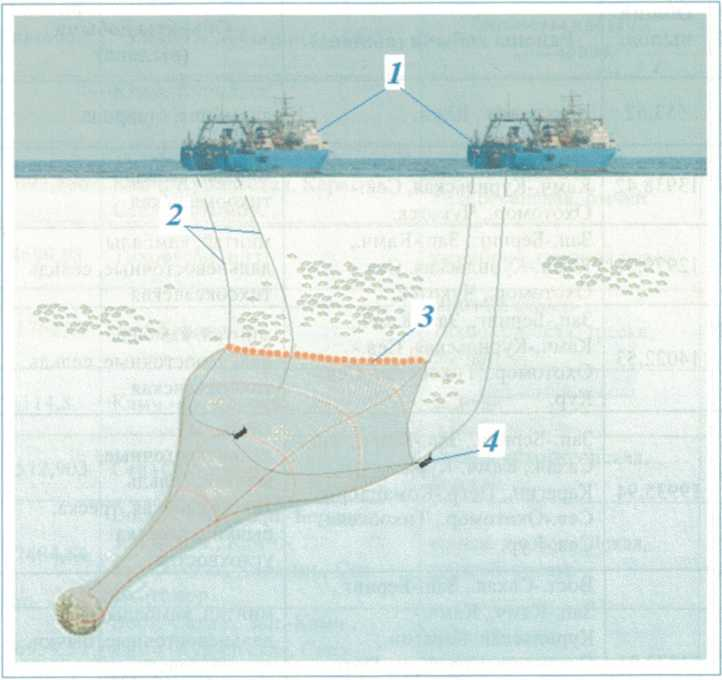 Рисунок12.png Рисунок12.png