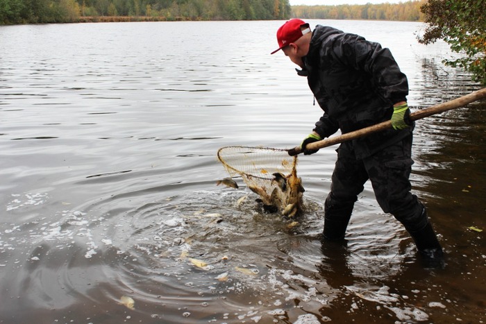 Нижегородская область.jpg Нижегородская область.jpg