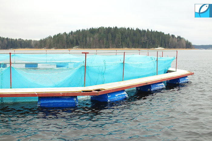 Производство рыбной муки