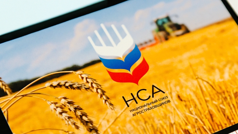НСА и рыбоводы Севера обсудили возможности расширения страхования аквакультуры.jpg