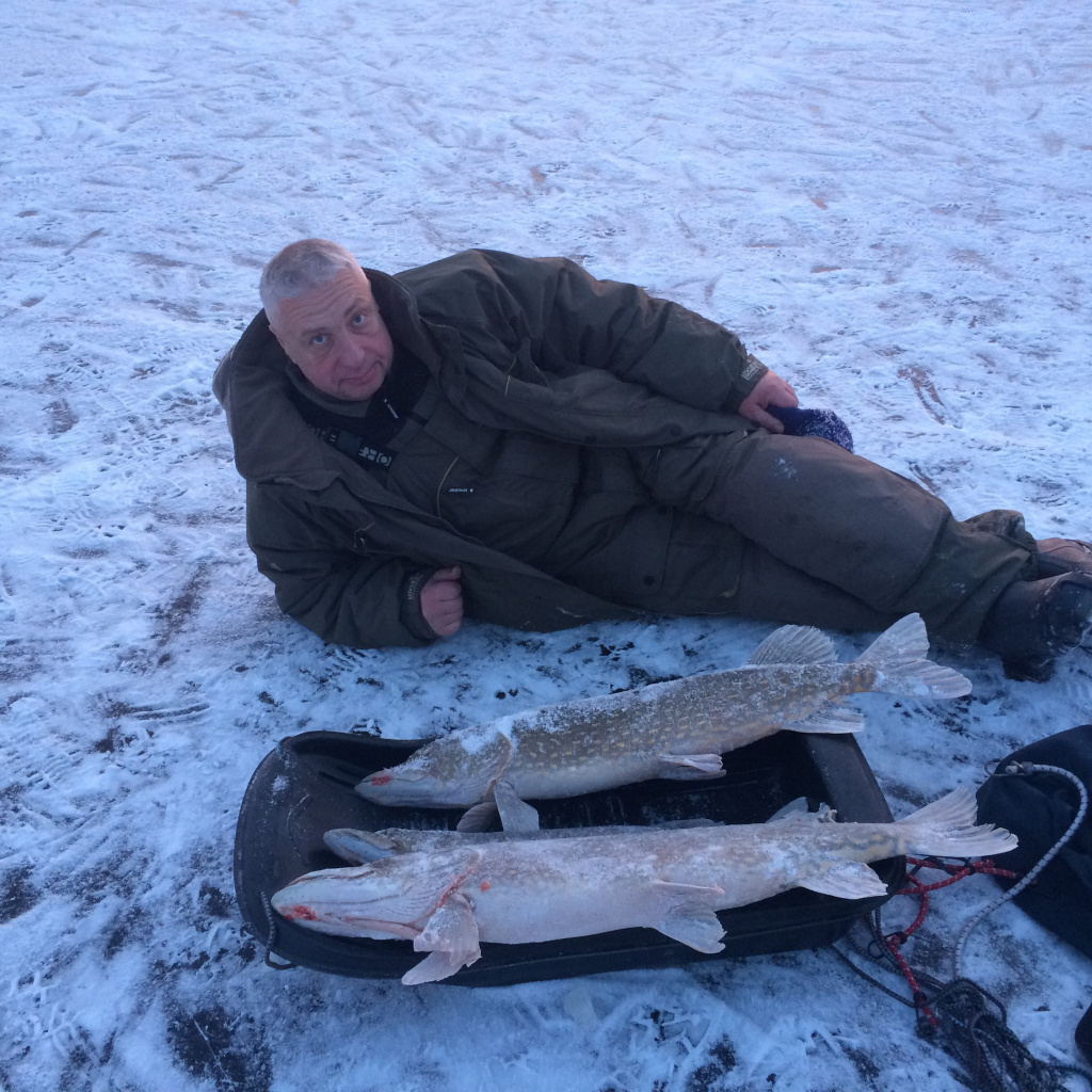 Купить жерлицы для зимней рыбалки на судака в Москве