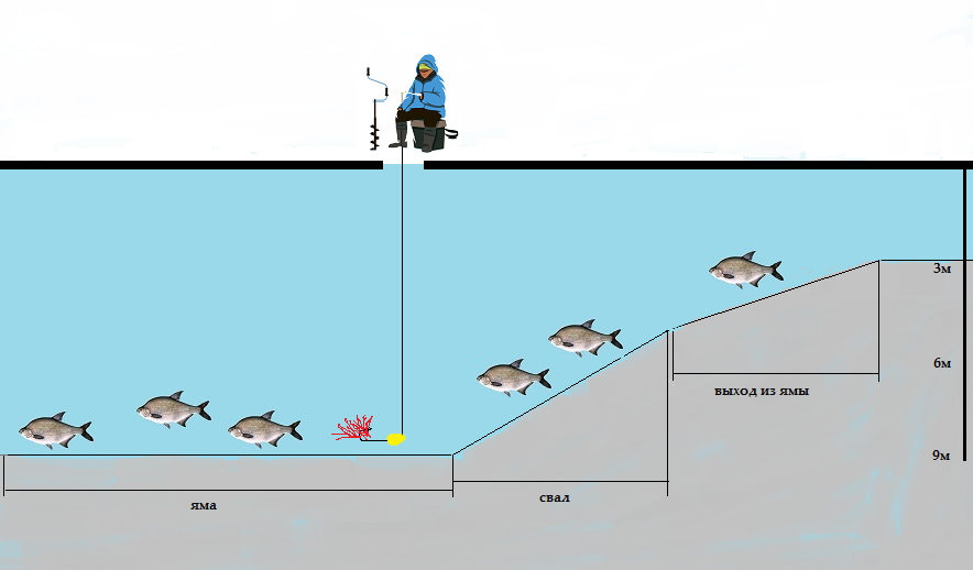 Схема лова лещей зимой выбор места