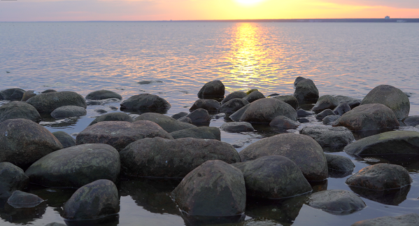 1 image_2022_07_22T13_09_40_976Z.png
