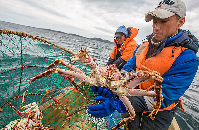 промысел краба карское море.jpg