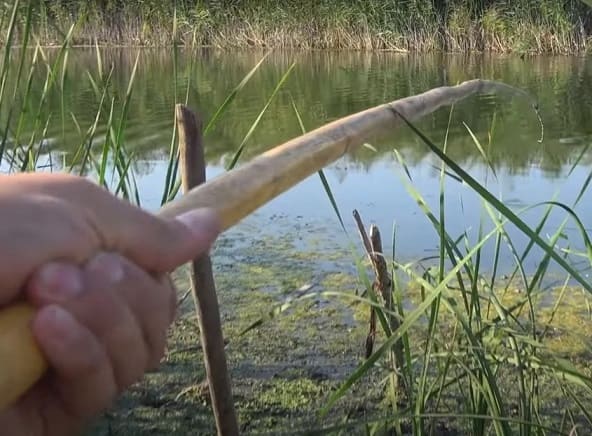 Маховые 1.jpg