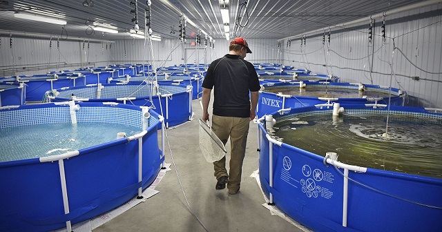 fish farm.jpg