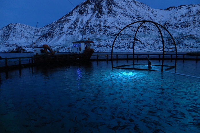 signify-aquaculture-led-lighting.jpg