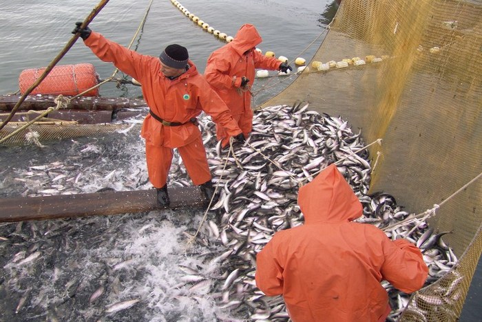Рыболовство на Колыме.jpg