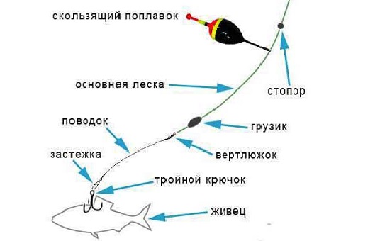 Ловля в разное время года