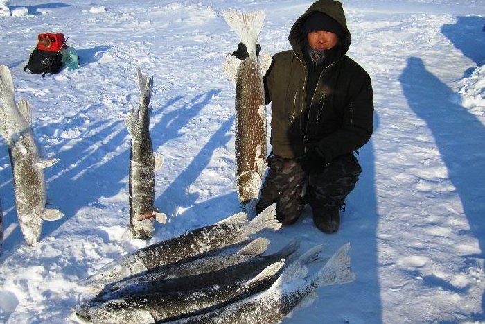 Рыбалка Якутия.jpg