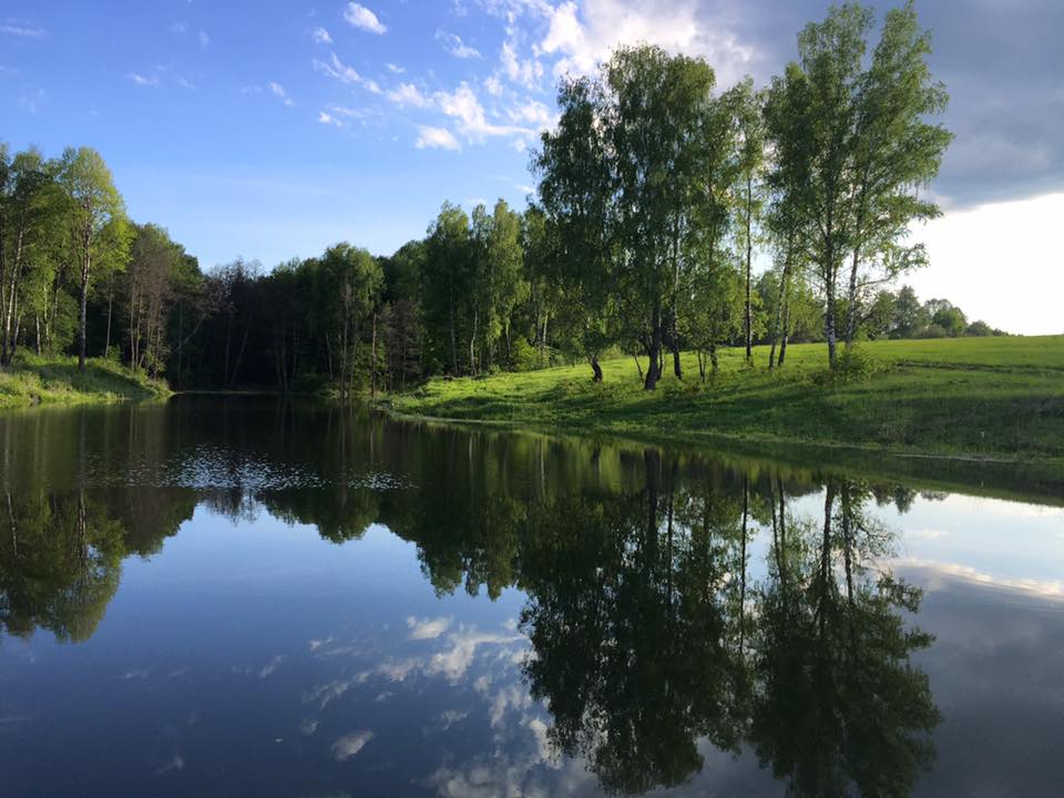 пруд на водотоках 