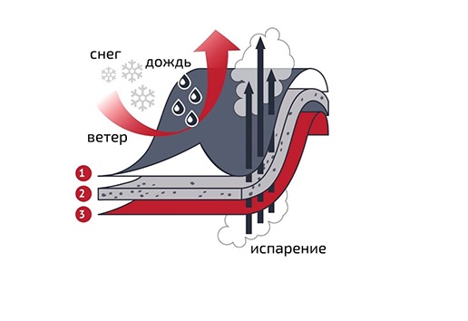 мембранная_ткань.jpg мембранная_ткань.jpg