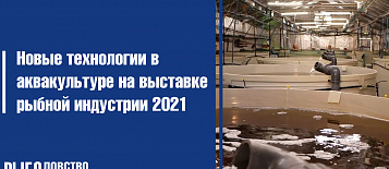 Новые технологии в оборудовании и кормах для аквакультуры на Seafood Expo Russia 2021