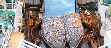 Промысел сайды донным тралом модели Bacalao производства компании Vonin