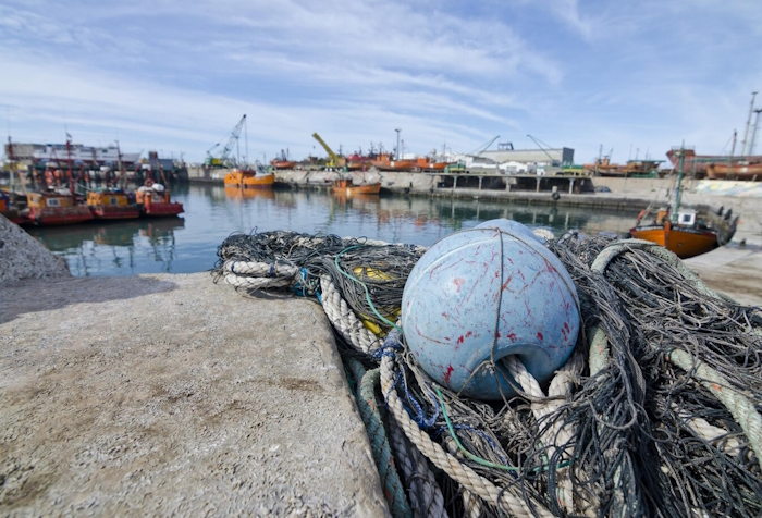 Изменения в законе о рыболовстве: что ждёт рыбопромышленников осенью