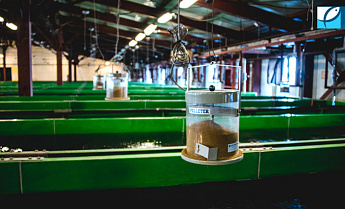 О потенциале России в рыбоводческой отрасли на фоне стремительного роста мирового рынка аквакультуры О потенциале России в рыбоводческой отрасли на фоне стремительного роста мирового рынка аквакультуры