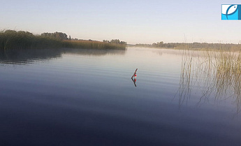 Как сделать жерлицу на щуку? Как сделать жерлицу на щуку?