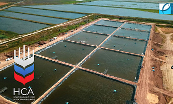 НСА: утвержден План сельхозстрахования на 2025 год НСА: утвержден План сельхозстрахования на 2025 год